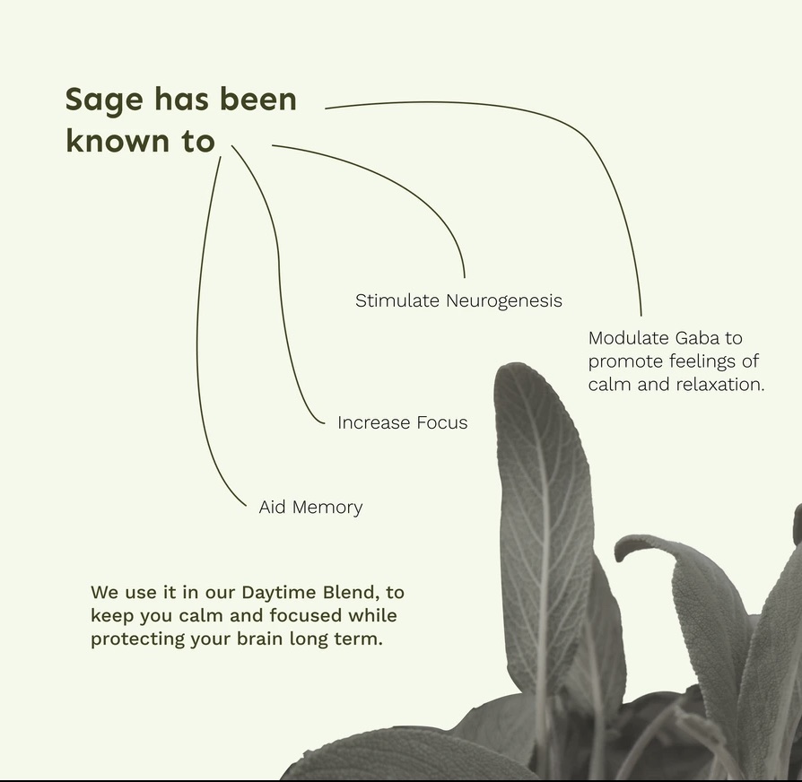Social post explaining the Sage ingredient — how it aids memory, focus and calm.